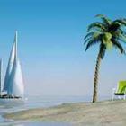 Strand met zeilboot en palmboom