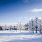 Besneeuwd veld, sneeuw bank