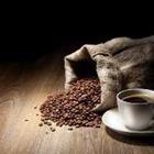 Koffiebonen en het kopje koffie